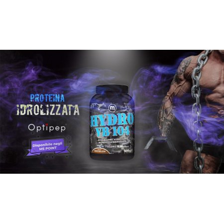 PROTEINE WHEY HYDRO VB 104...